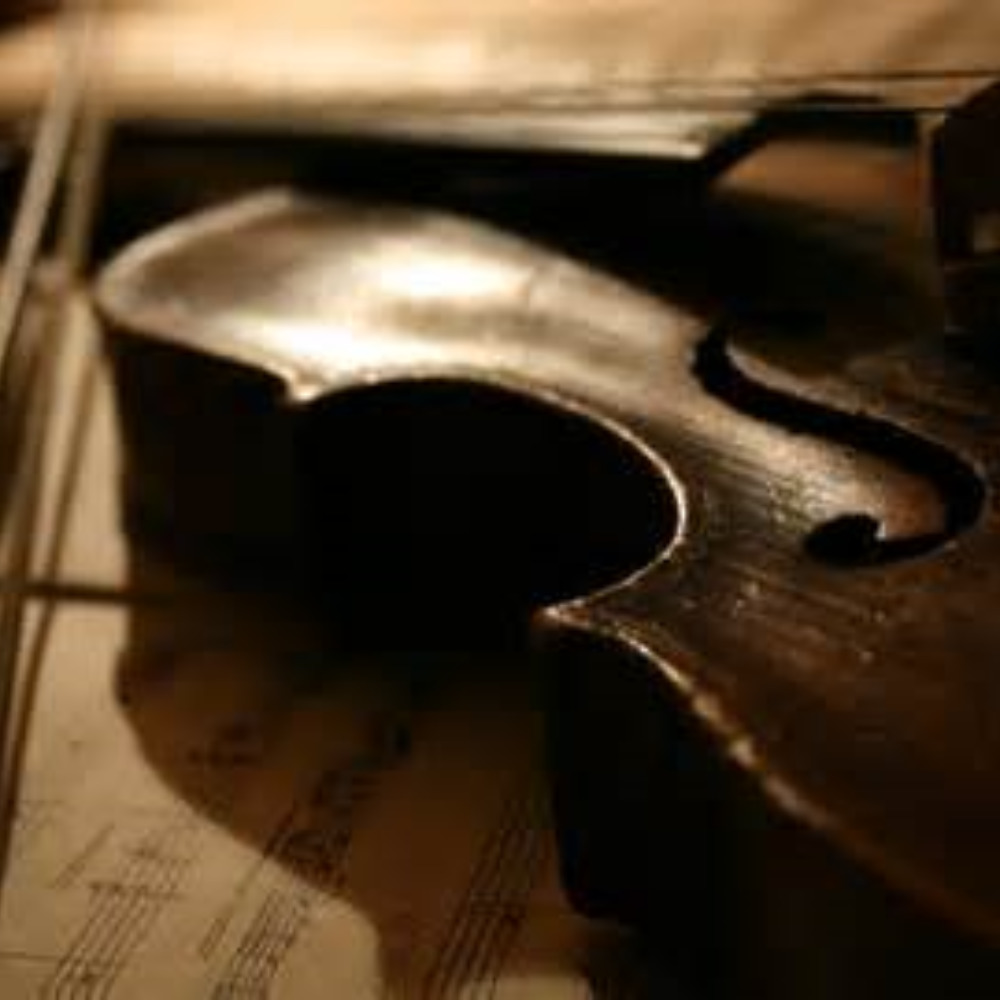 Meet your Posher, Sidni